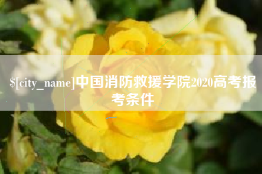 高密中国消防救援学院2020高考报考条件