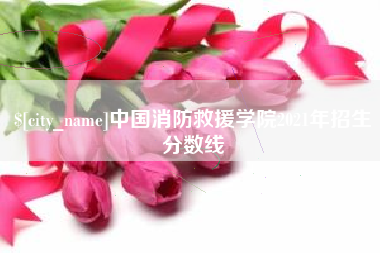 高密中国消防救援学院2021年招生分数线