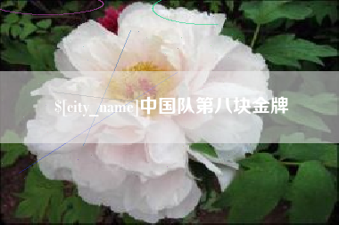 高密中国队第八块金牌