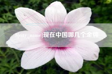 高密现在中国哪几个金牌