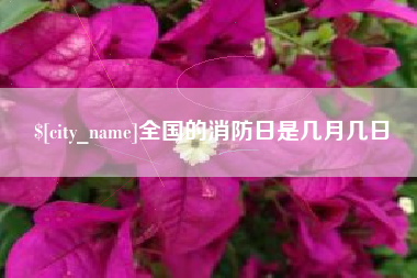 高密全国的消防日是几月几日