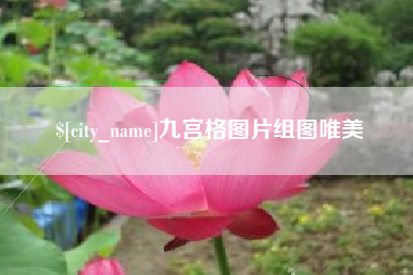 高密九宫格图片组图唯美
