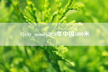 高密2020年中国5000米