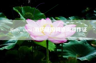 高密消防证国网查询操作证