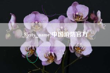高密中国消防官方