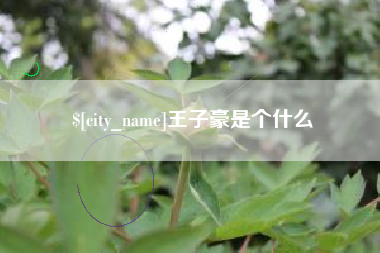 高密王子豪是个什么