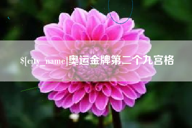高密奥运金牌第二个九宫格