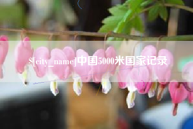 高密中国5000米国家记录