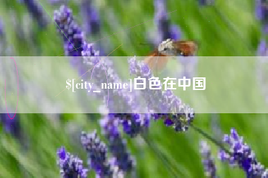 高密白色在中国