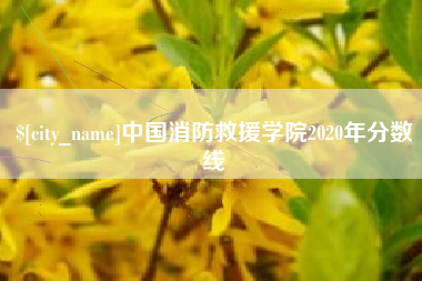 高密中国消防救援学院2020年分数线