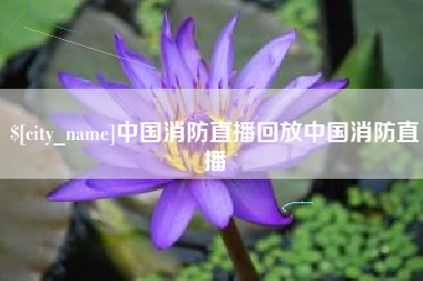 高密中国消防直播回放中国消防直播