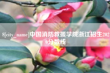 高密中国消防救援学院浙江招生2020分数线