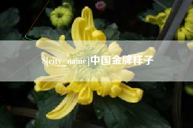 高密中国金牌样子