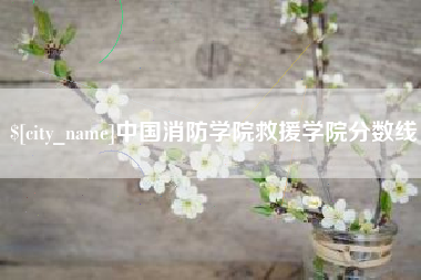 高密中国消防学院救援学院分数线