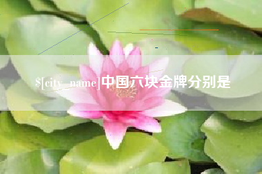 高密中国六块金牌分别是
