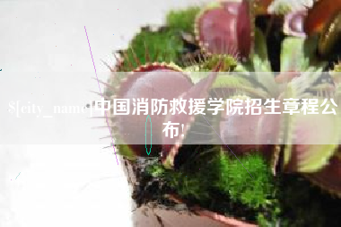 高密中国消防救援学院招生章程公布!