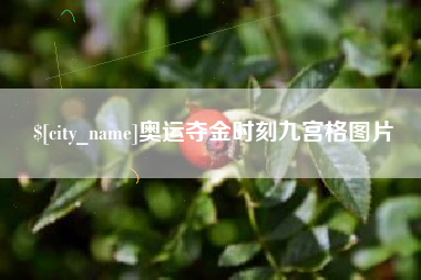 高密奥运夺金时刻九宫格图片