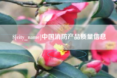 高密中国消防产品质量信息