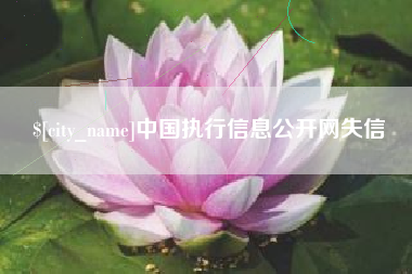 高密中国执行信息公开网失信