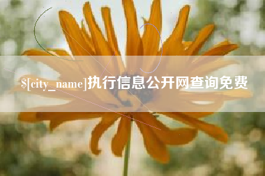 高密执行信息公开网查询免费
