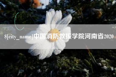 高密中国消防救援学院河南省2020
